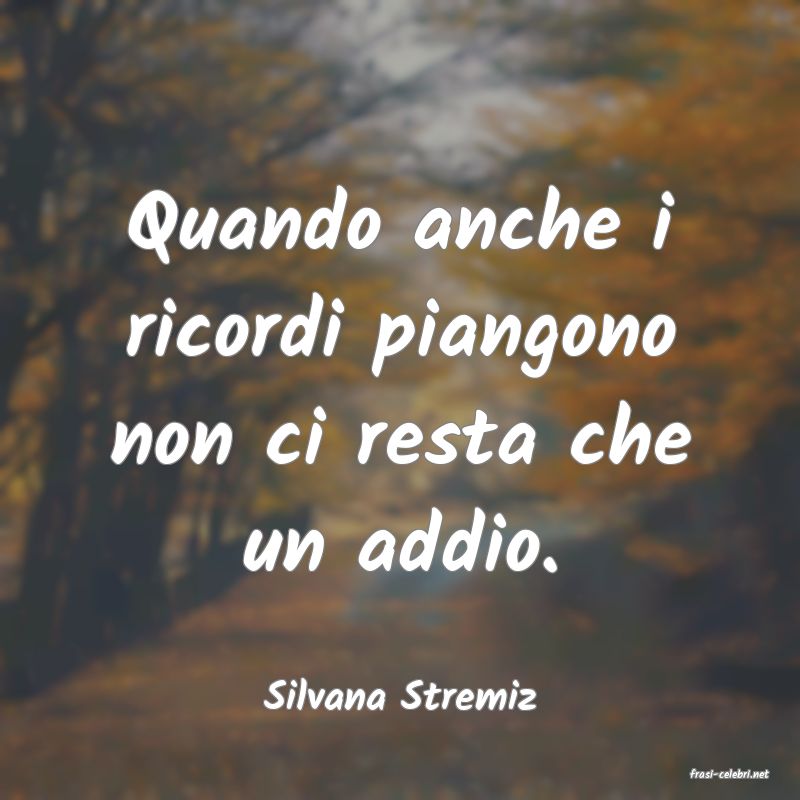 frasi di  Silvana Stremiz
