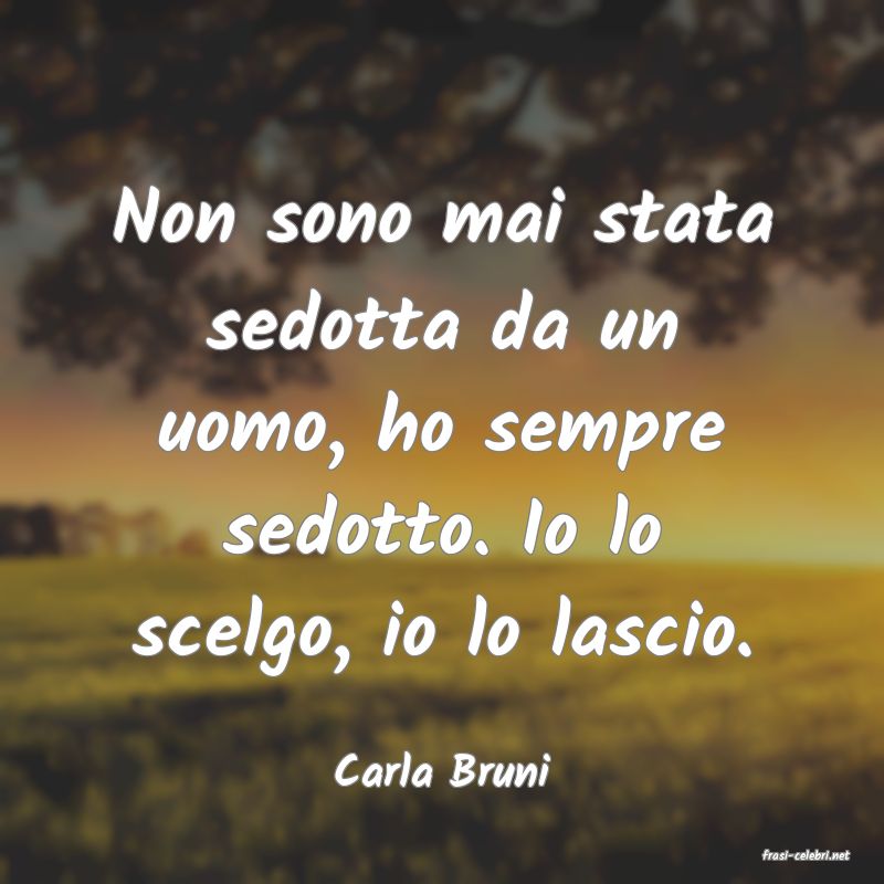 frasi di  Carla Bruni
