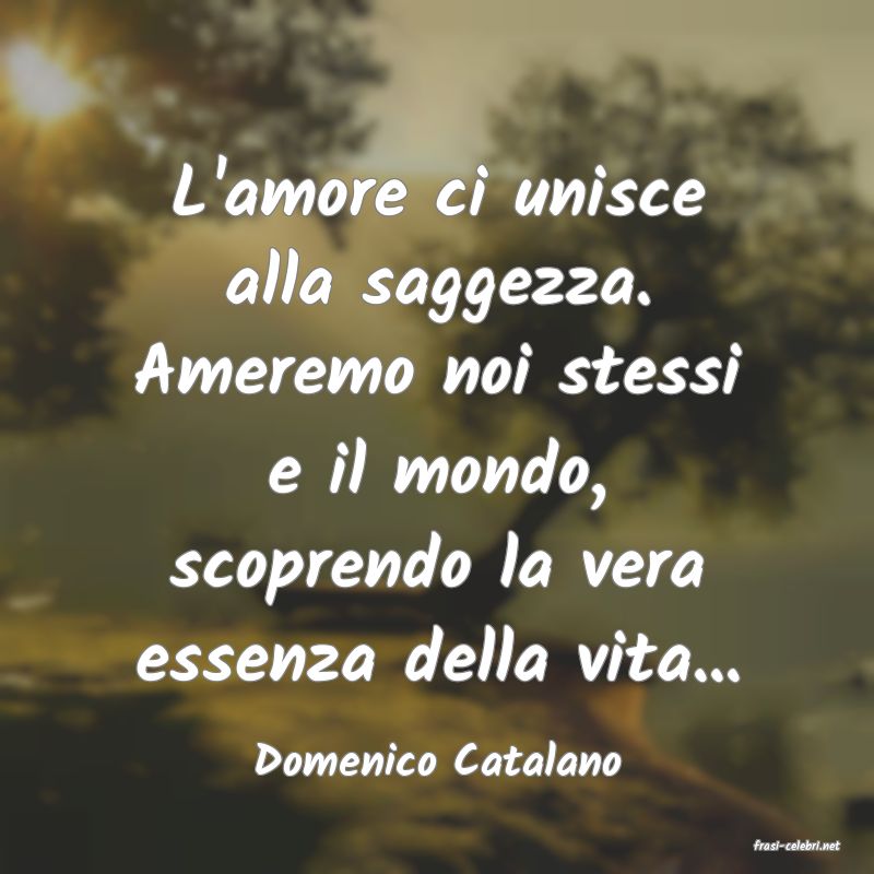 frasi di  Domenico Catalano
