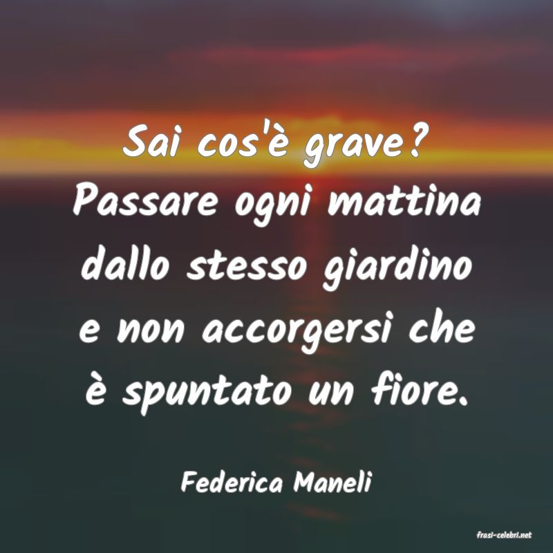 frasi di  Federica Maneli
