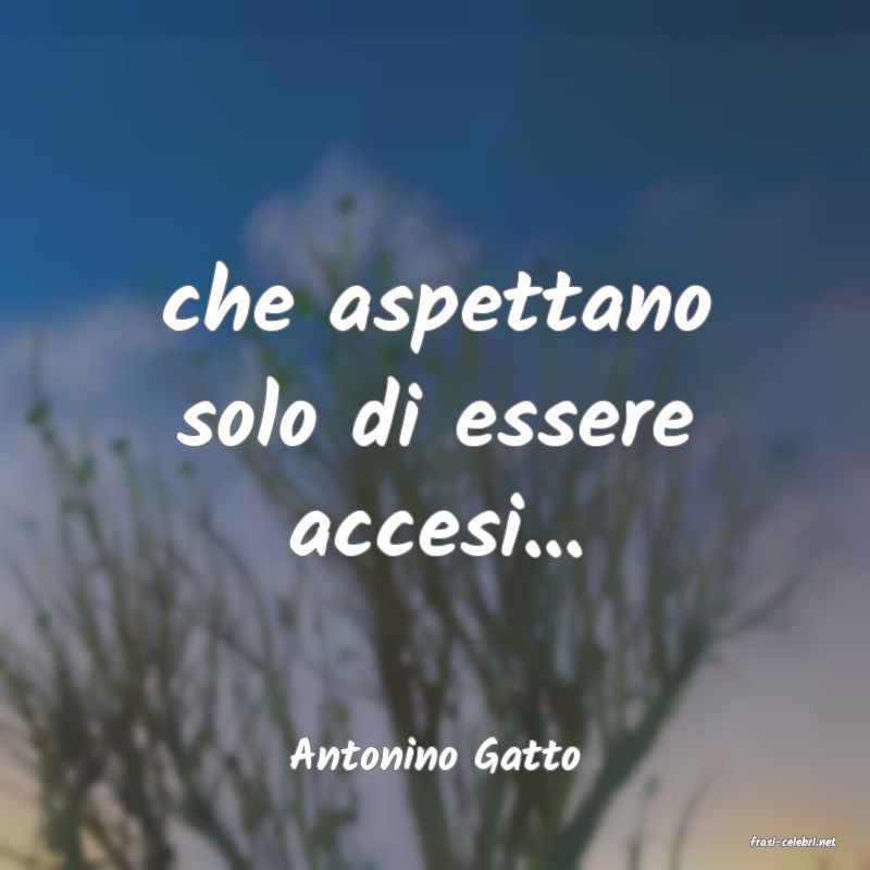 frasi di  Antonino Gatto
