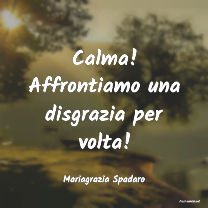 frasi di  Mariagrazia Spadaro
