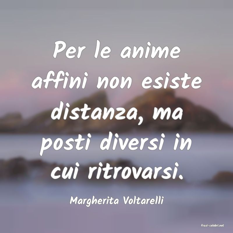 frasi di  Margherita Voltarelli
