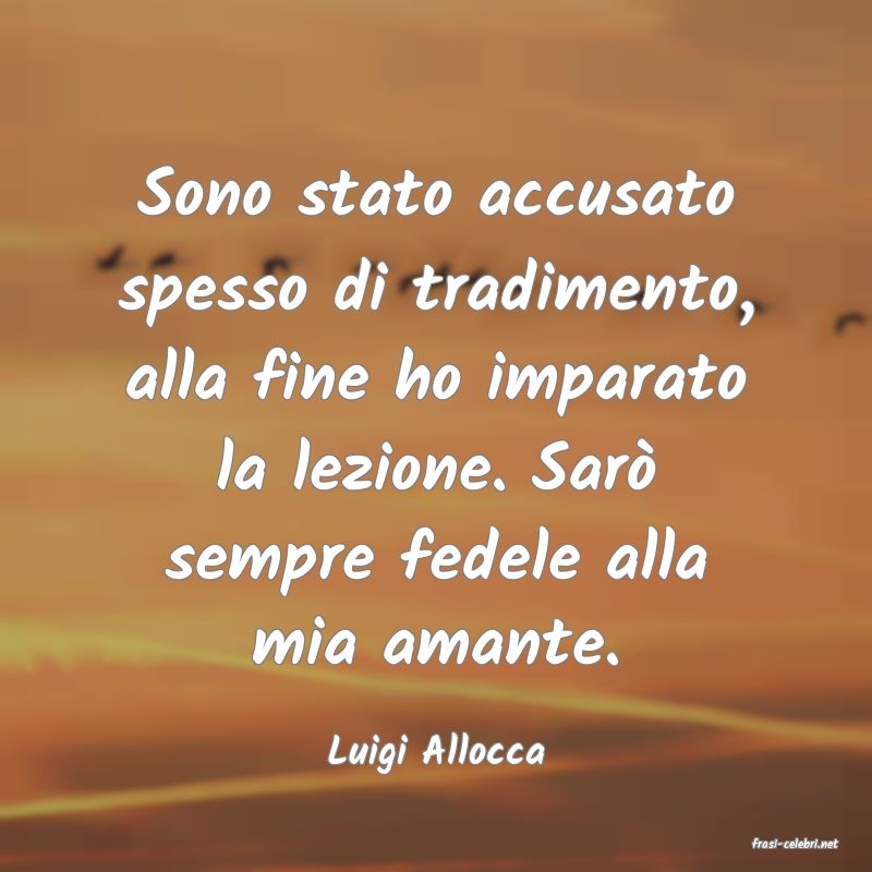 frasi di  Luigi Allocca
