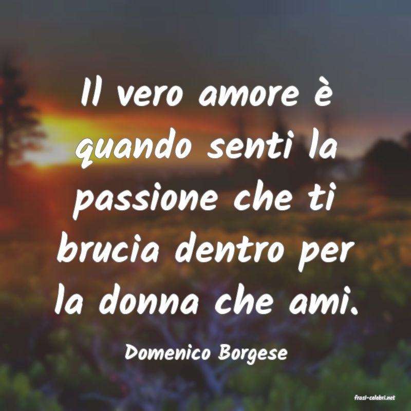 frasi di  Domenico Borgese
