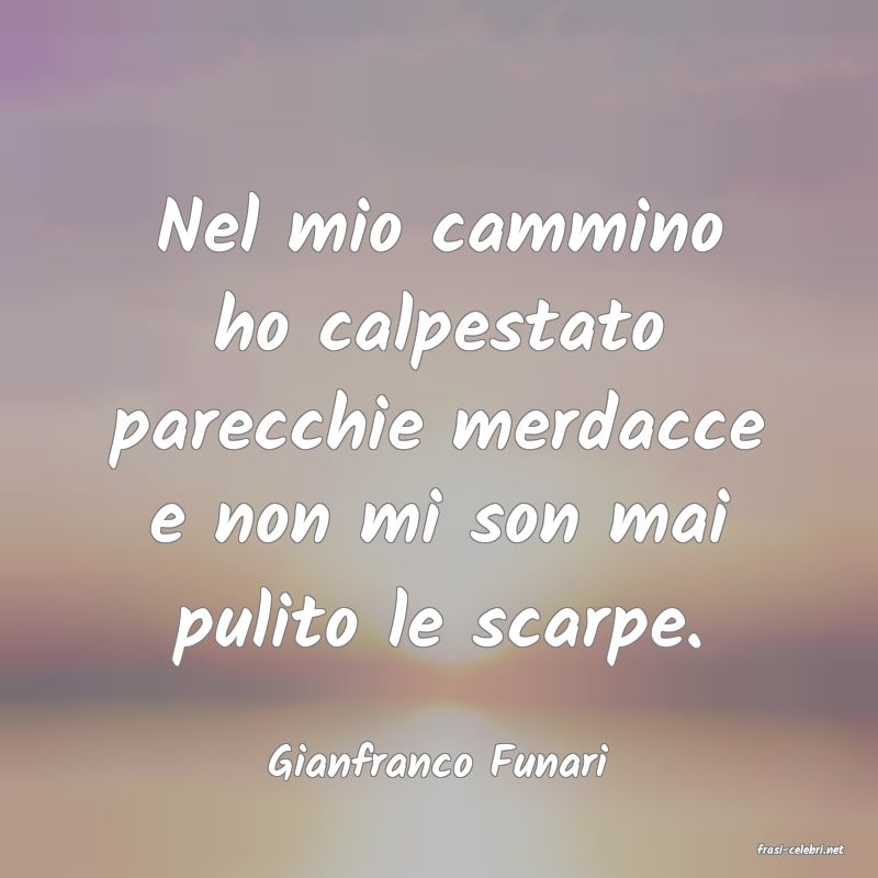 frasi di  Gianfranco Funari
