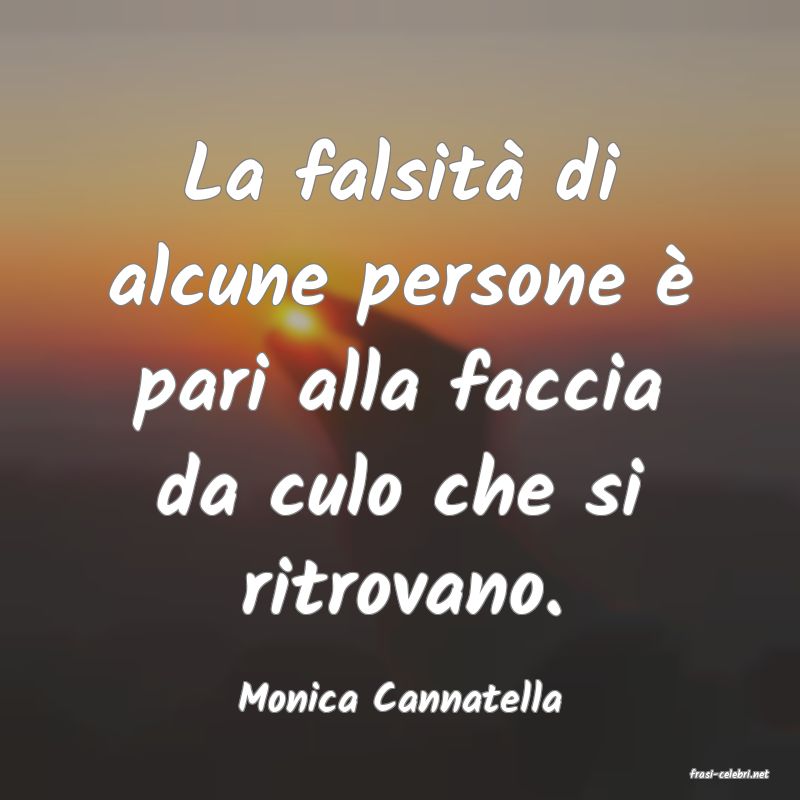 frasi di  Monica Cannatella
