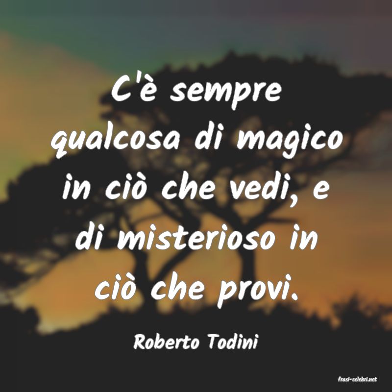 frasi di  Roberto Todini
