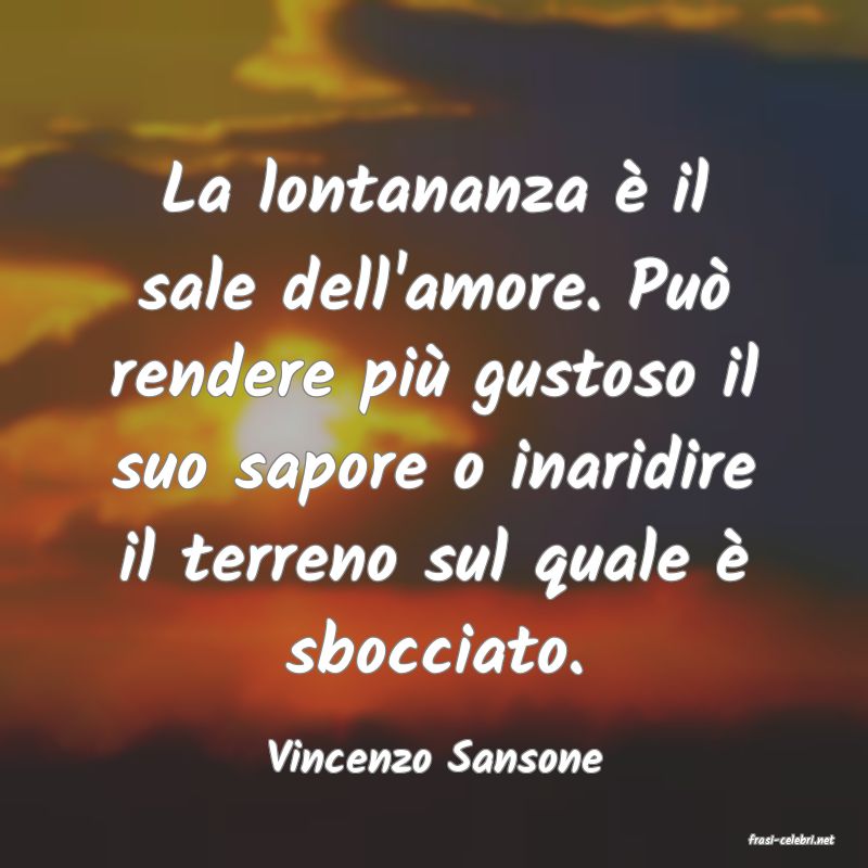 frasi di  Vincenzo Sansone
