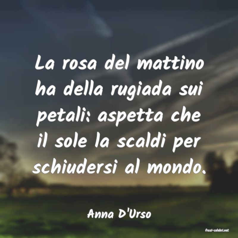 frasi di Anna D'Urso