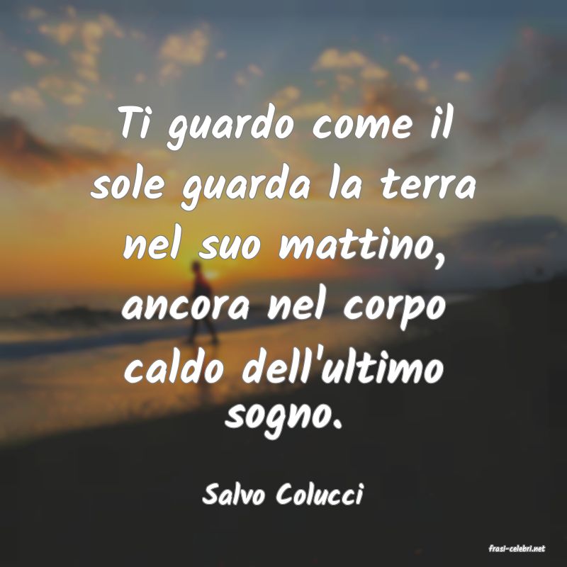 frasi di  Salvo Colucci
