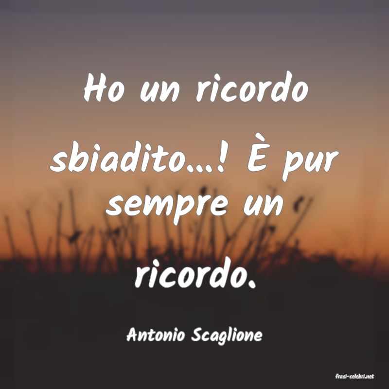 frasi di  Antonio Scaglione
