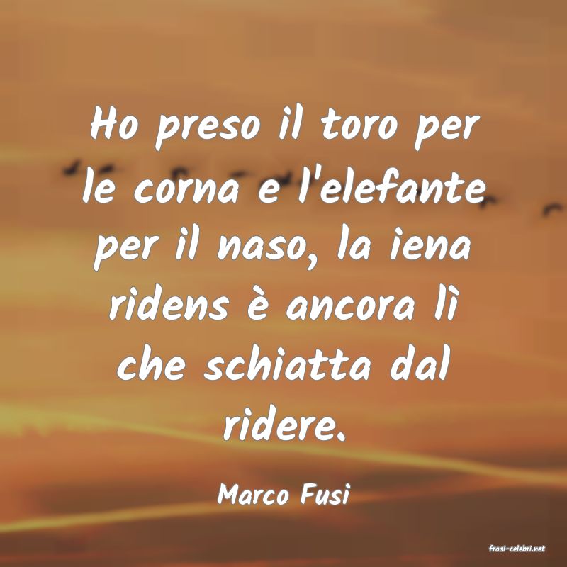 frasi di  Marco Fusi
