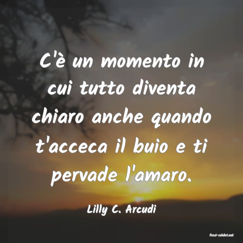 frasi di  Lilly C. Arcudi
