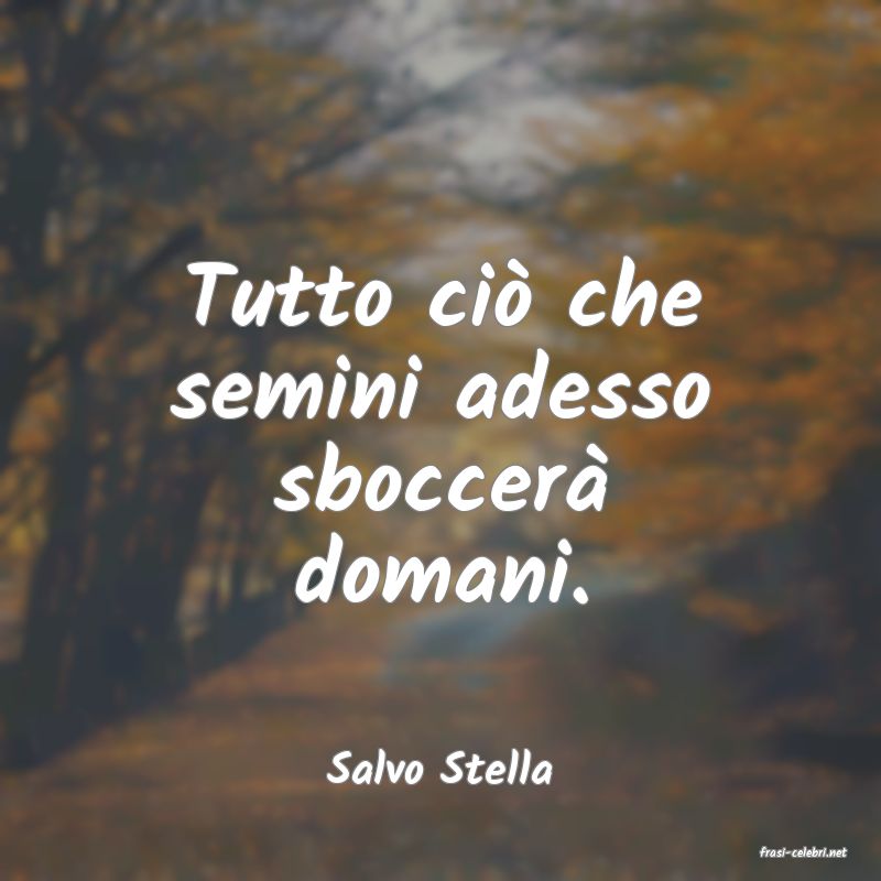 frasi di  Salvo Stella
