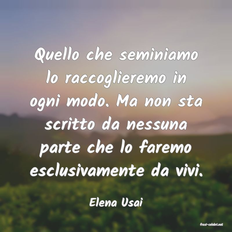 frasi di  Elena Usai
