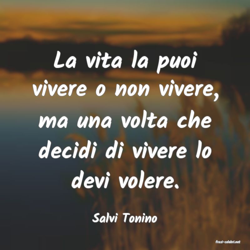 frasi di  Salvi Tonino
