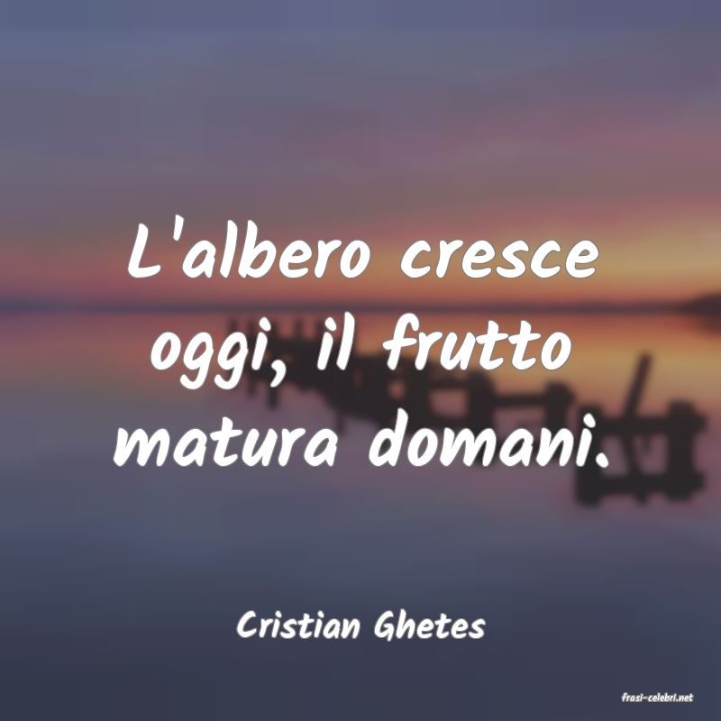 frasi di  Cristian Ghetes
