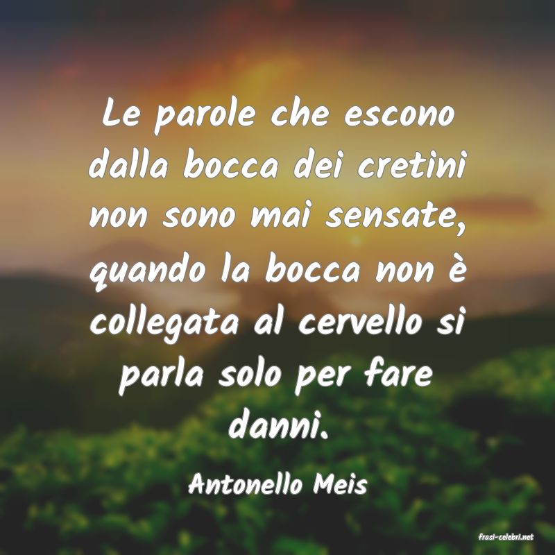 frasi di  Antonello Meis
