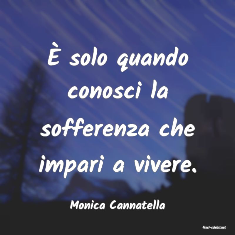 frasi di  Monica Cannatella
