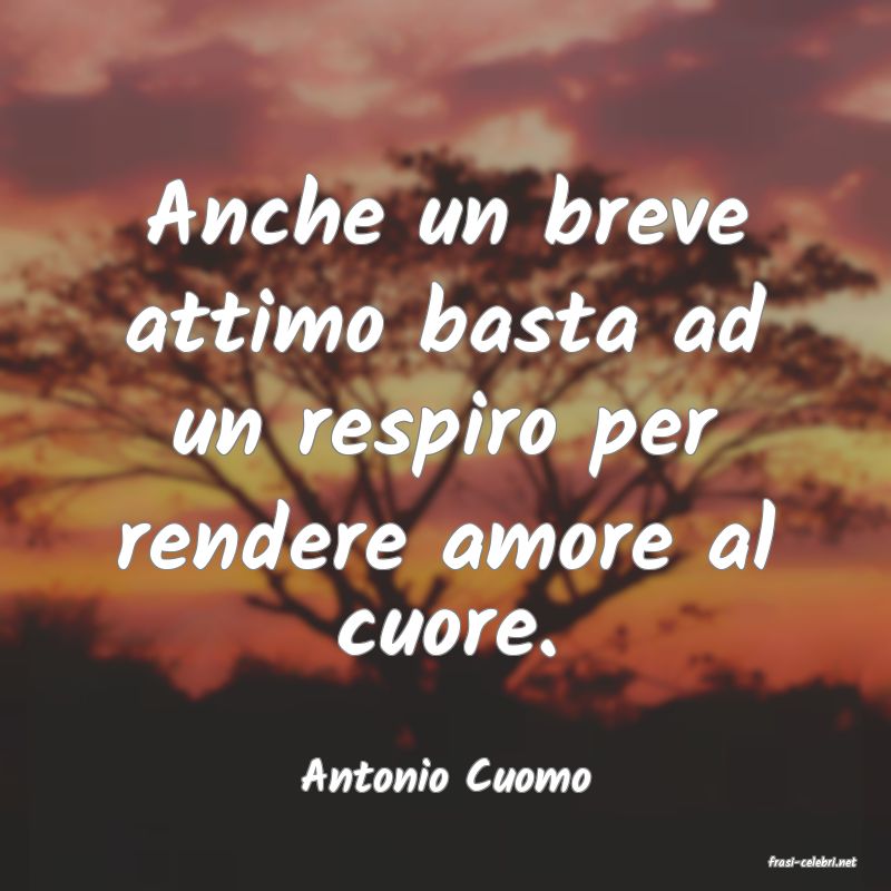 frasi di  Antonio Cuomo
