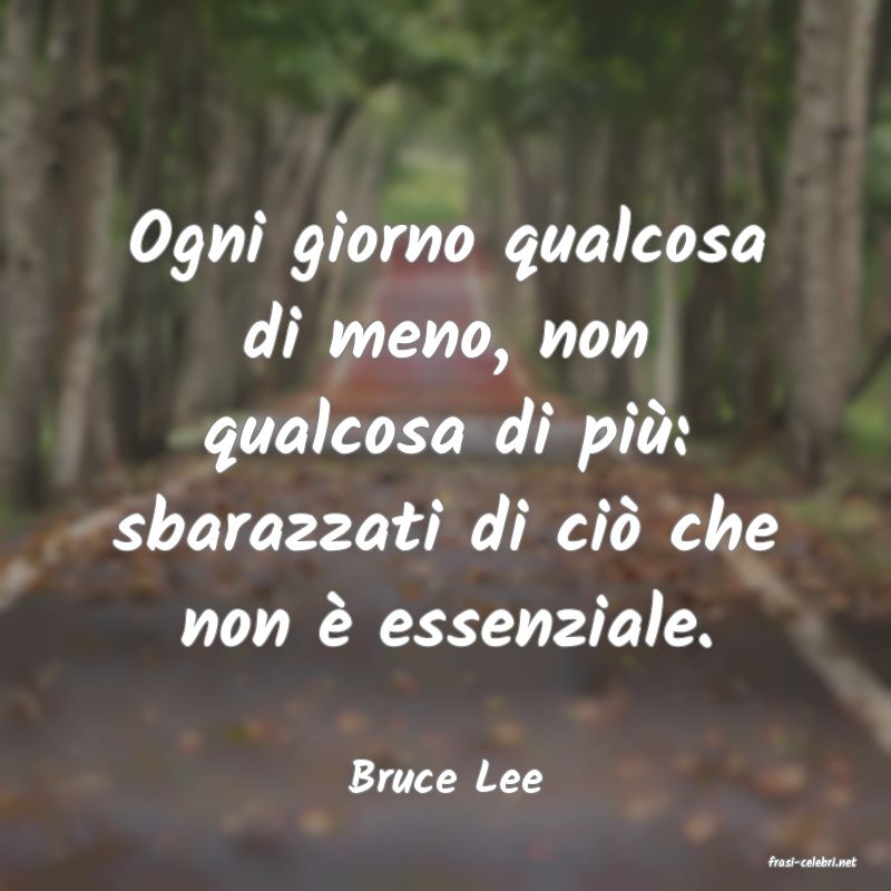 frasi di  Bruce Lee
