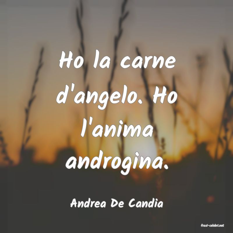 frasi di  Andrea De Candia
