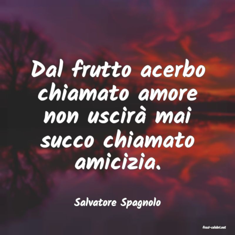 frasi di  Salvatore Spagnolo
