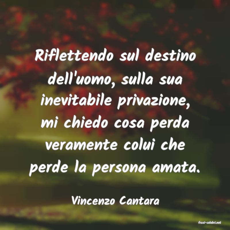 frasi di  Vincenzo Cantara
