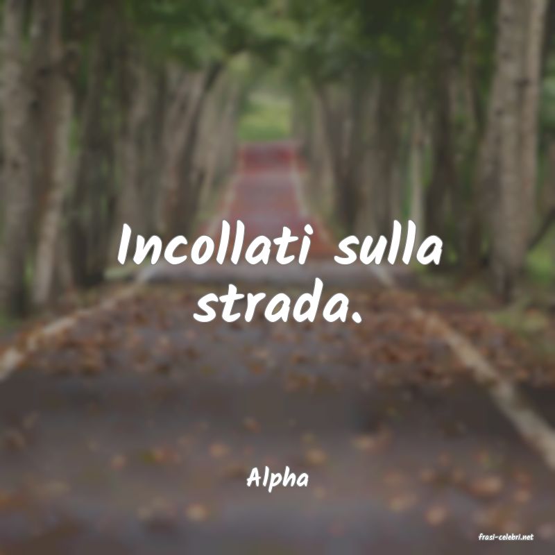 frasi di  Alpha
