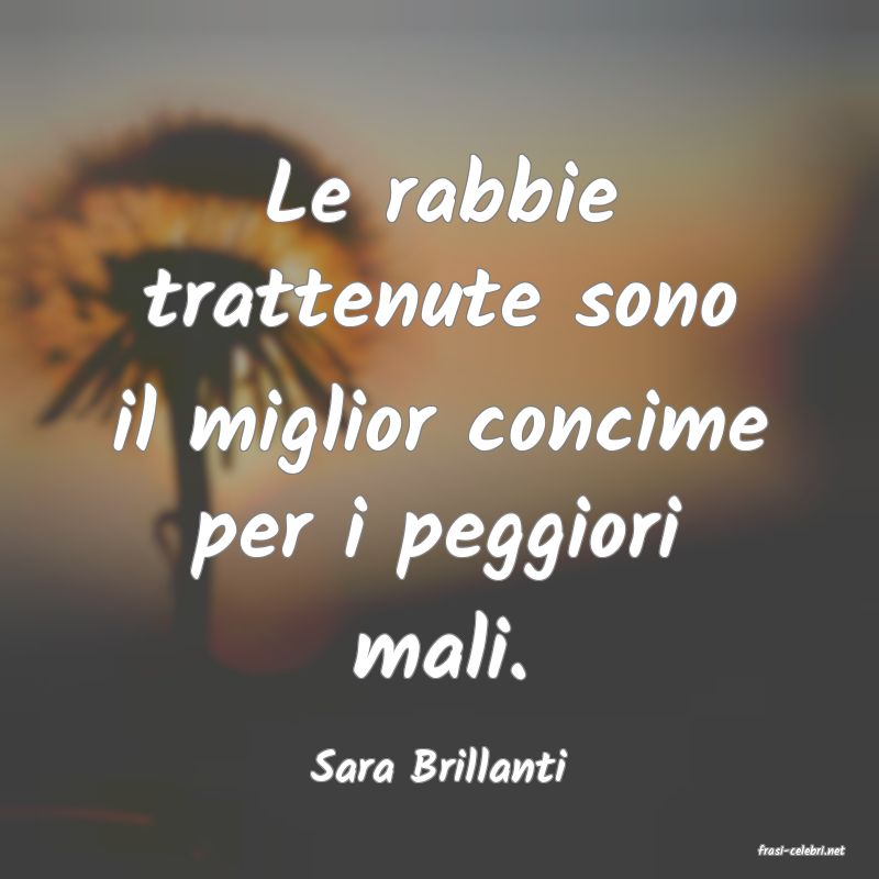 frasi di  Sara Brillanti
