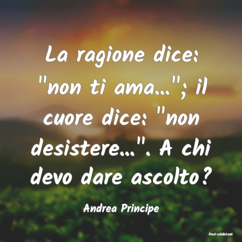 frasi di  Andrea Principe
