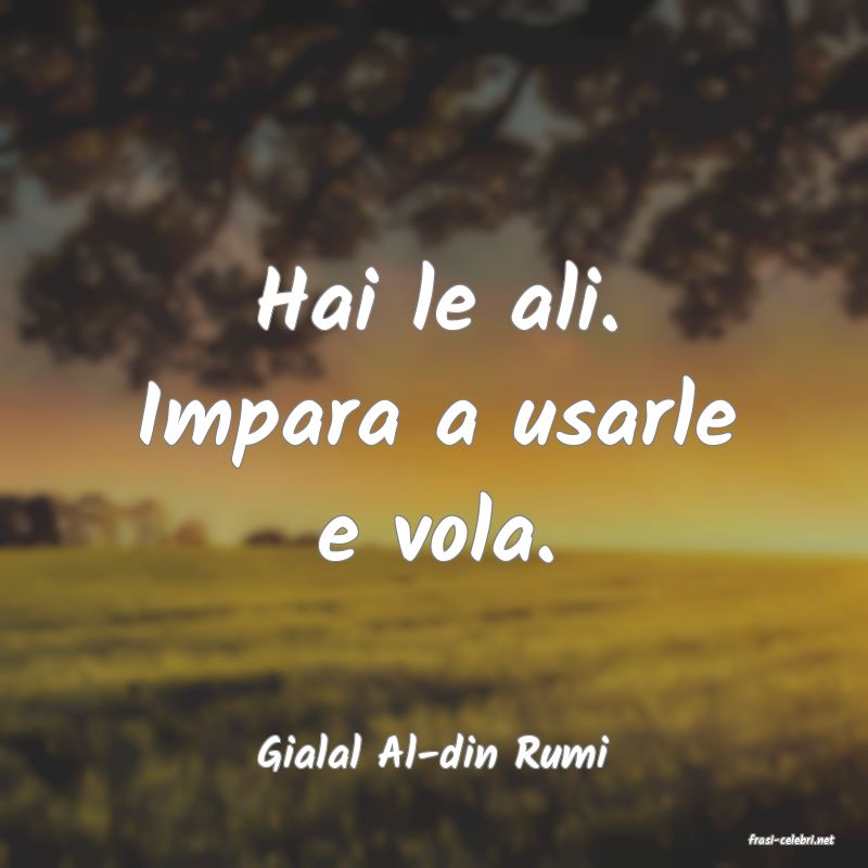 frasi di  Gialal Al-din Rumi
