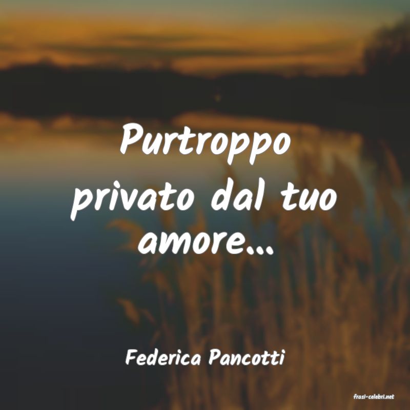 frasi di  Federica Pancotti
