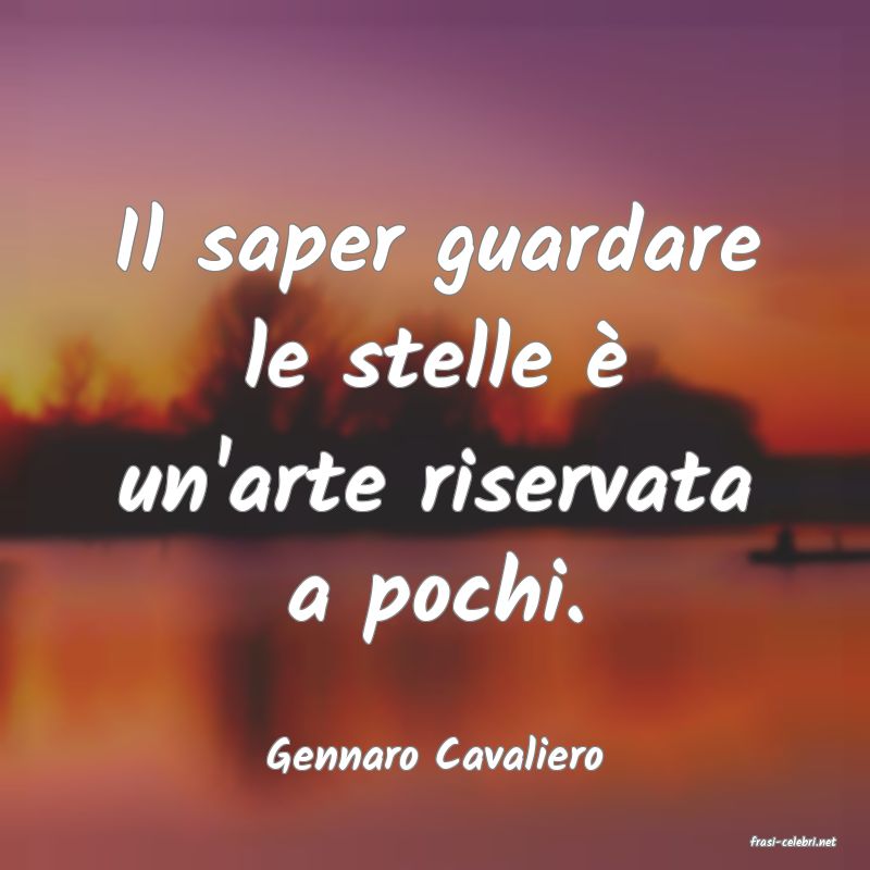 frasi di  Gennaro Cavaliero
