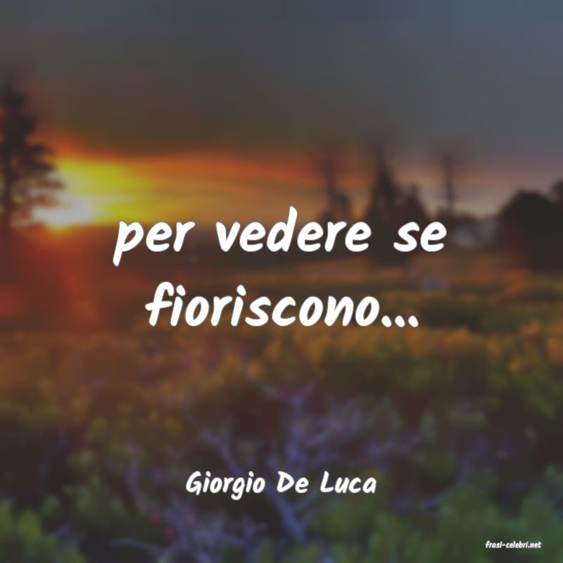 frasi di  Giorgio De Luca
