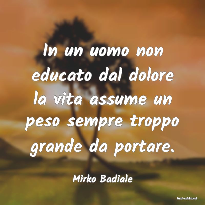 frasi di  Mirko Badiale
