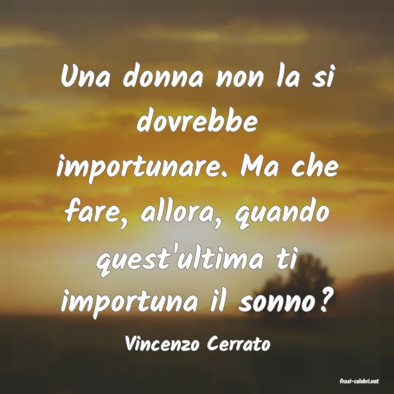 frasi di  Vincenzo Cerrato
