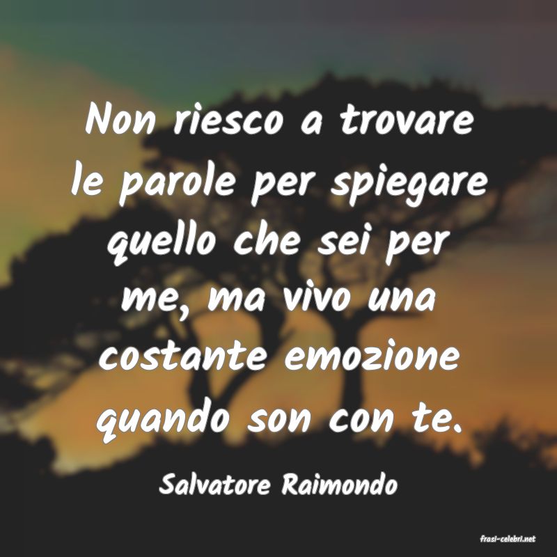 frasi di  Salvatore Raimondo
