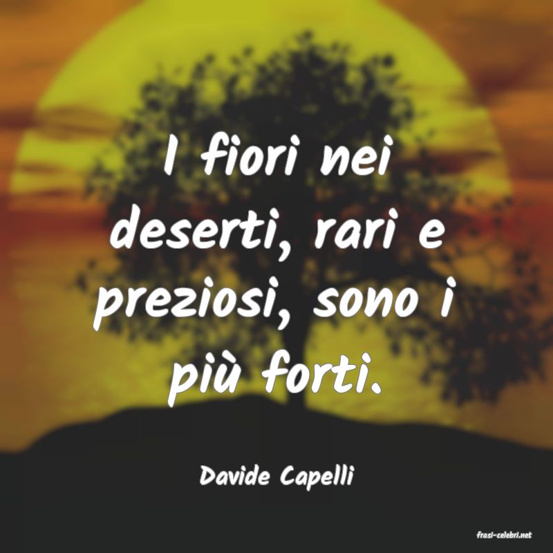 frasi di  Davide Capelli
