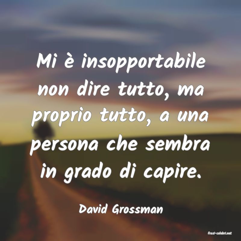 frasi di  David Grossman
