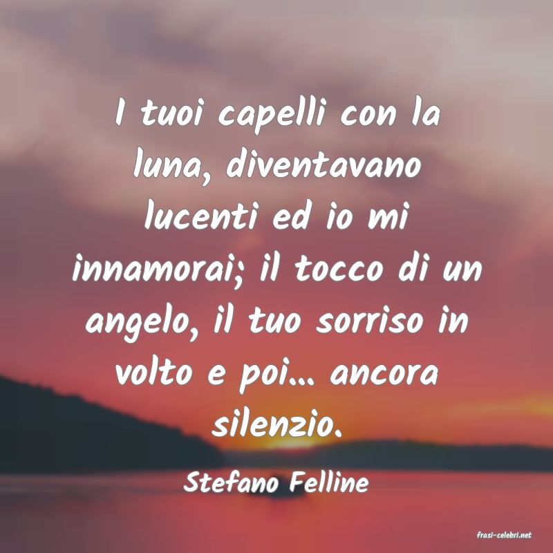 frasi di  Stefano Felline
