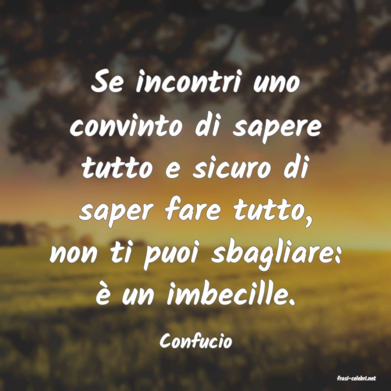 frasi di  Confucio
