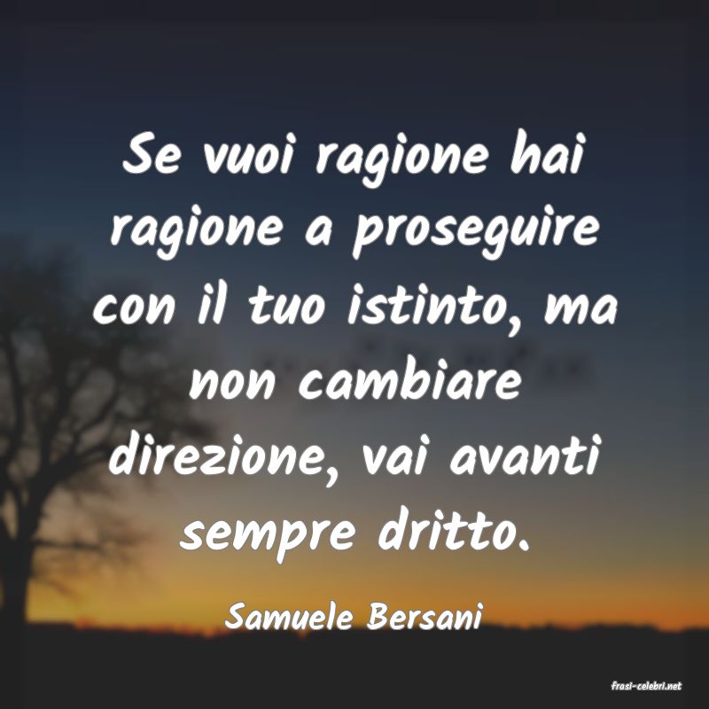 frasi di  Samuele Bersani
