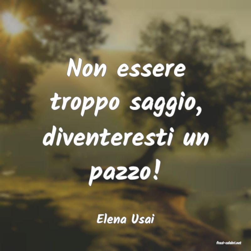 frasi di  Elena Usai
