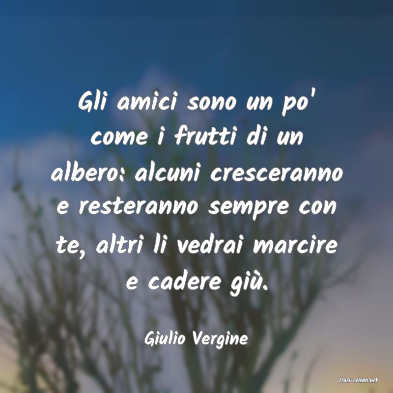 frasi di  Giulio Vergine
