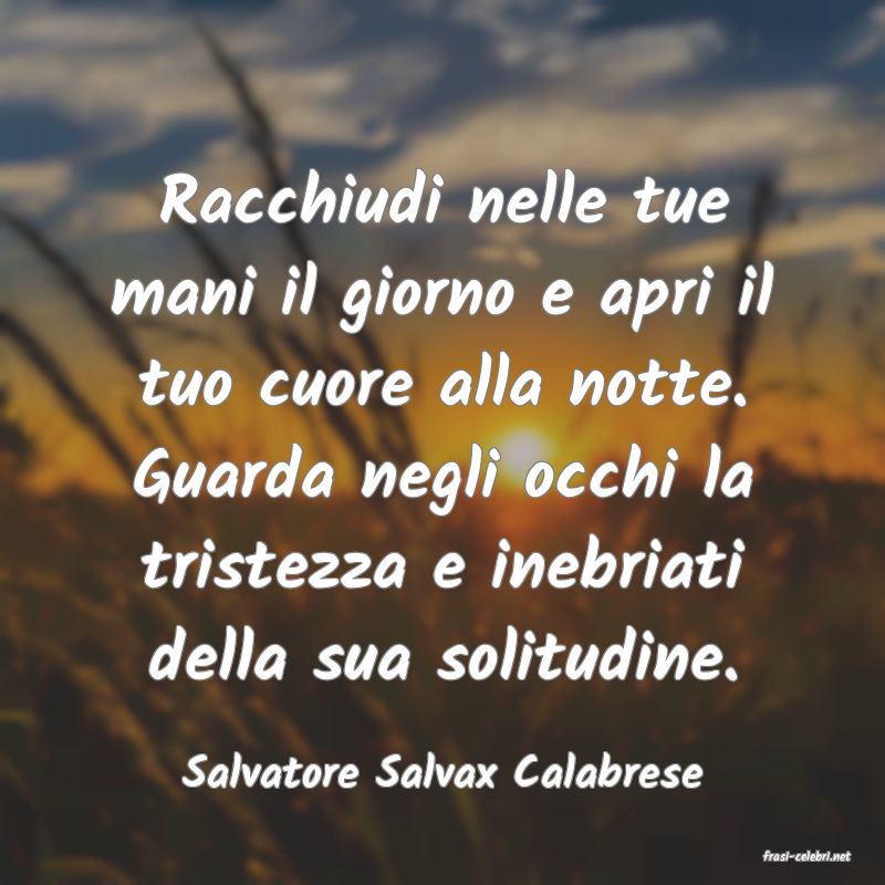 frasi di  Salvatore Salvax Calabrese
