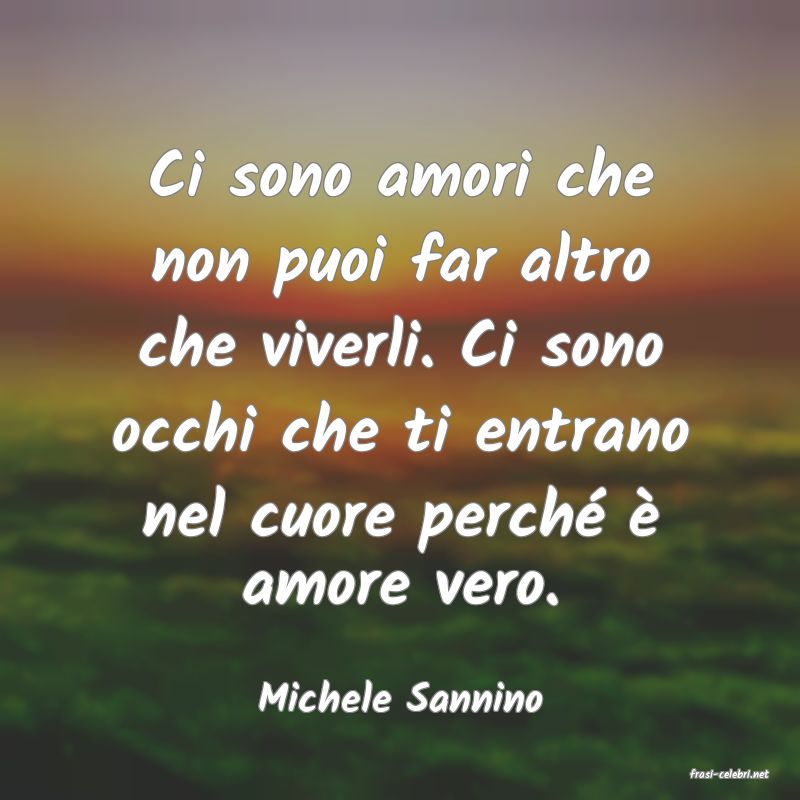 frasi di  Michele Sannino
