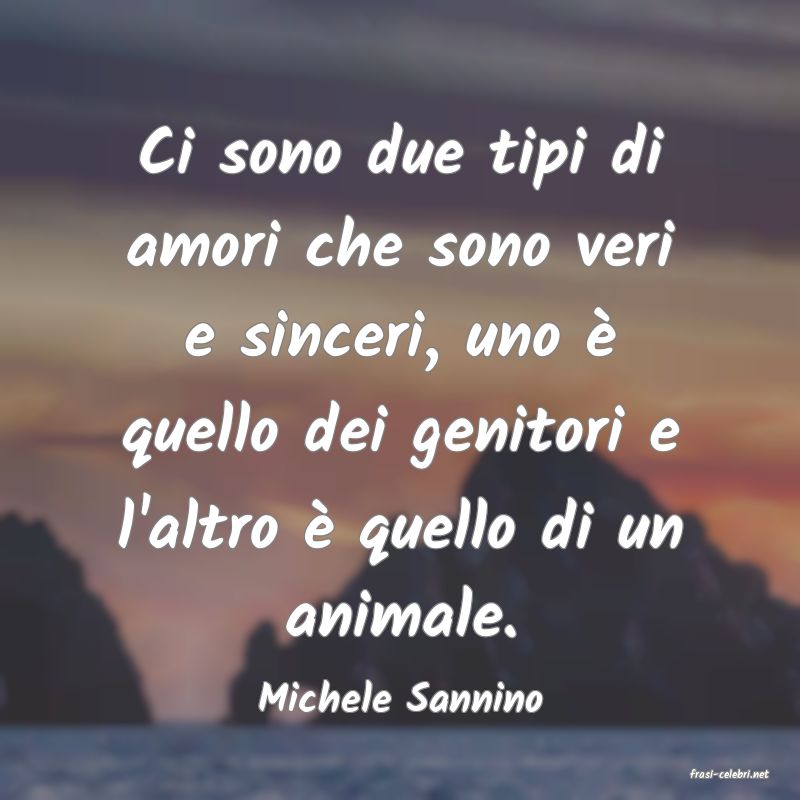 frasi di  Michele Sannino
