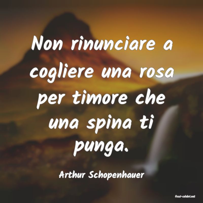 frasi di  Arthur Schopenhauer
